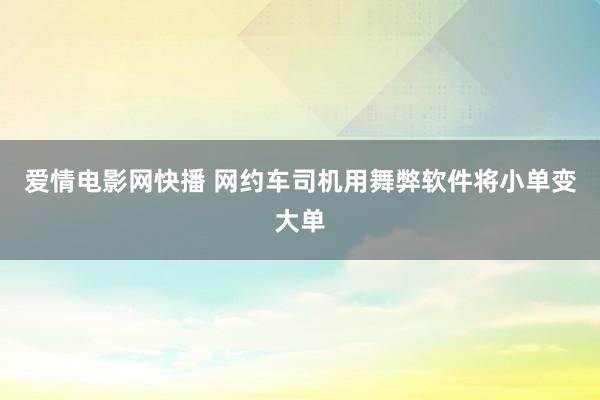 爱情电影网快播 网约车司机用舞弊软件将小单变大单