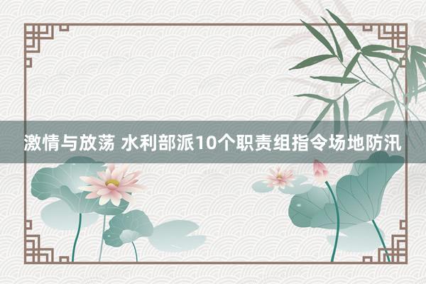 激情与放荡 水利部派10个职责组指令场地防汛