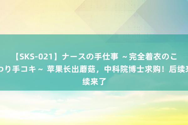 【SKS-021】ナースの手仕事 ～完全着衣のこだわり手コキ～ 苹果长出蘑菇，中科院博士求购！后续来了