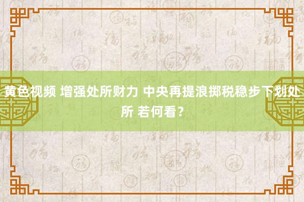 黄色视频 增强处所财力 中央再提浪掷税稳步下划处所 若何看？