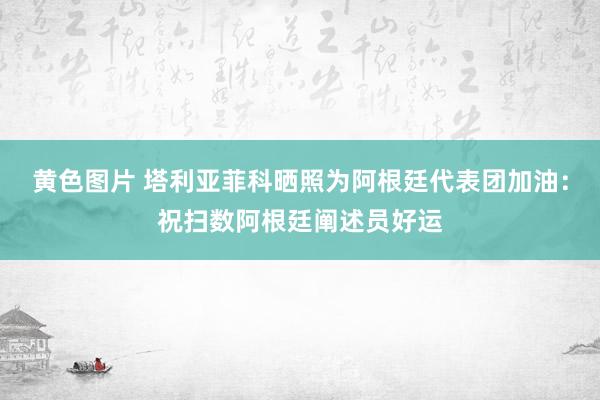 黄色图片 塔利亚菲科晒照为阿根廷代表团加油：祝扫数阿根廷阐述员好运