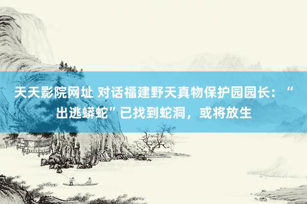 天天影院网址 对话福建野天真物保护园园长：“出逃蟒蛇”已找到蛇洞，或将放生