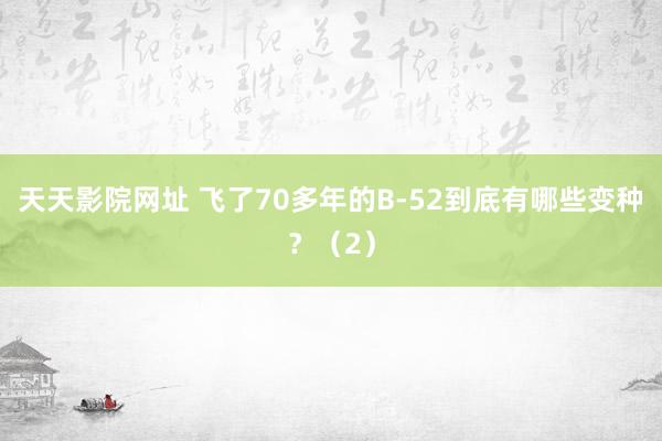 天天影院网址 飞了70多年的B-52到底有哪些变种？（2）