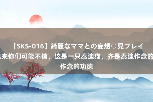 【SKS-016】綺麗なママとの妄想○児プレイ 说出来你们可能不信，这是一只泰迪猫，齐是泰迪作念的功德