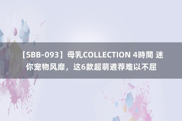 【SBB-093】母乳COLLECTION 4時間 迷你宠物风靡，这6款超萌遴荐难以不屈