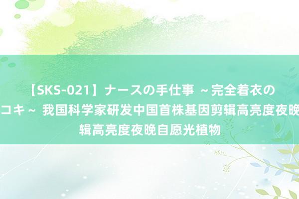 【SKS-021】ナースの手仕事 ～完全着衣のこだわり手コキ～ 我国科学家研发中国首株基因剪辑高亮度夜晚自愿光植物