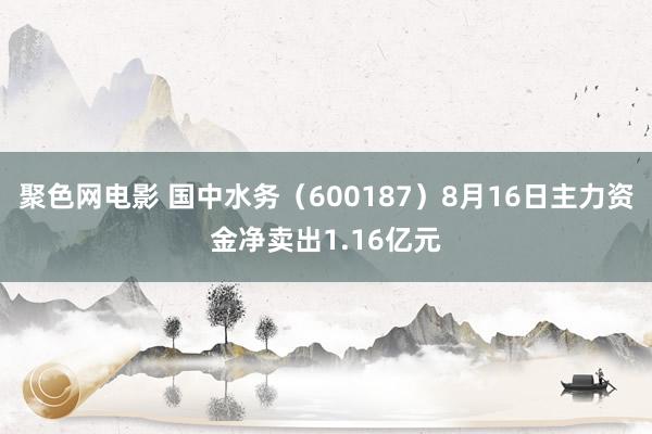 聚色网电影 国中水务（600187）8月16日主力资金净卖出1.16亿元