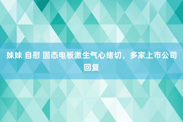 妹妹 自慰 固态电板激生气心绪切，多家上市公司回复