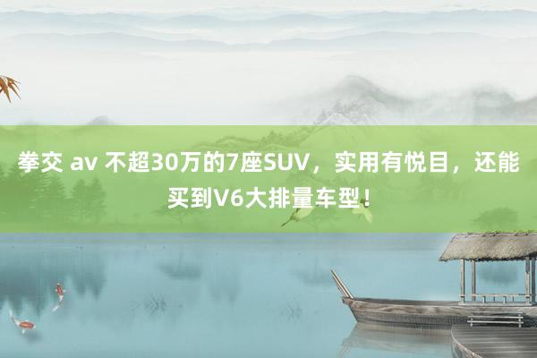 拳交 av 不超30万的7座SUV，实用有悦目，还能买到V6大排量车型！