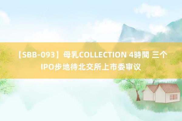 【SBB-093】母乳COLLECTION 4時間 三个IPO步地待北交所上市委审议