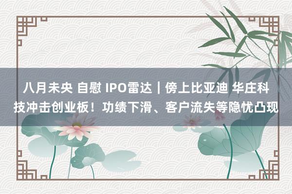 八月未央 自慰 IPO雷达｜傍上比亚迪 华庄科技冲击创业板！功绩下滑、客户流失等隐忧凸现