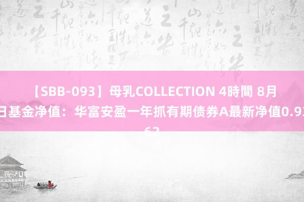 【SBB-093】母乳COLLECTION 4時間 8月22日基金净值：华富安盈一年抓有期债券A最新净值0.9362