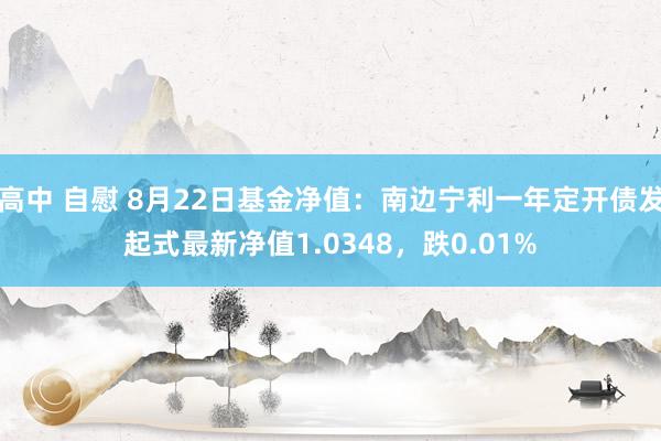 高中 自慰 8月22日基金净值：南边宁利一年定开债发起式最新净值1.0348，跌0.01%