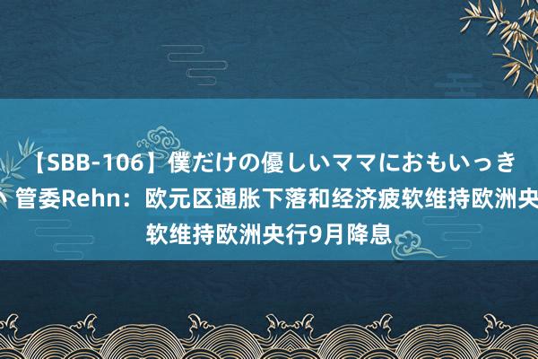 【SBB-106】僕だけの優しいママにおもいっきり甘えたい 管委Rehn：欧元区通胀下落和经济疲软维持欧洲央行9月降息