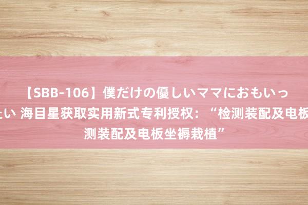 【SBB-106】僕だけの優しいママにおもいっきり甘えたい 海目星获取实用新式专利授权：“检测装配及电板坐褥栽植”