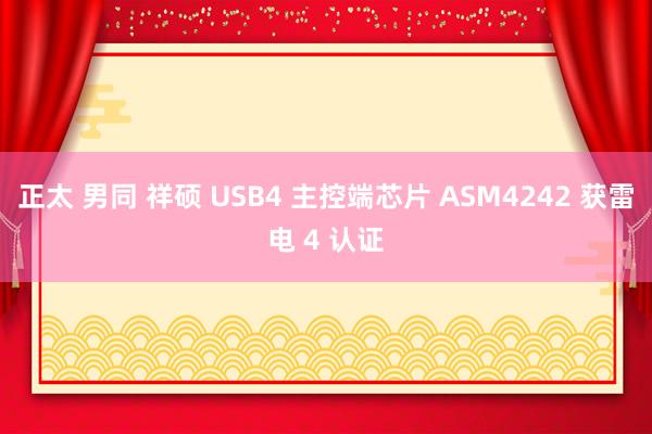 正太 男同 祥硕 USB4 主控端芯片 ASM4242 获雷电 4 认证