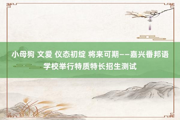 小母狗 文爱 仪态初绽 将来可期——嘉兴番邦语学校举行特质特长招生测试