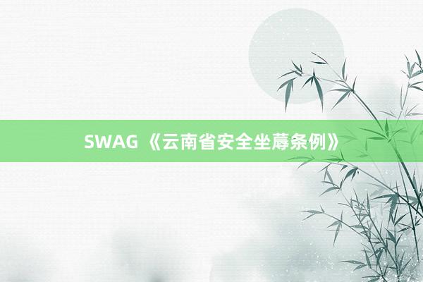 SWAG 《云南省安全坐蓐条例》