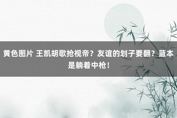 黄色图片 王凯胡歌抢视帝？友谊的划子要翻？蓝本是躺着中枪！