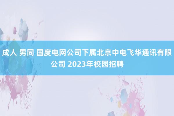 成人 男同 国度电网公司下属北京中电飞华通讯有限公司 2023年校园招聘