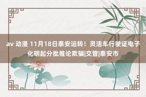 av 动漫 11月18日泰安运转！灵活车行驶证电子化明起分批推论欺骗|交管|泰安市