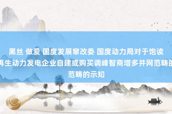 黑丝 做爱 国度发展窜改委 国度动力局对于饱读动可再生动力发电企业自建或购买调峰智商增多并网范畴的示知