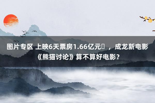 图片专区 上映6天票房1.66亿元‌，成龙新电影《熊猫讨论》算不算好电影？